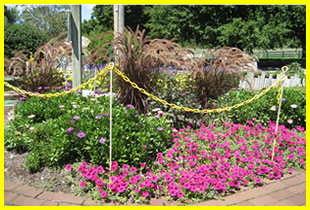 Lovely Landscaping